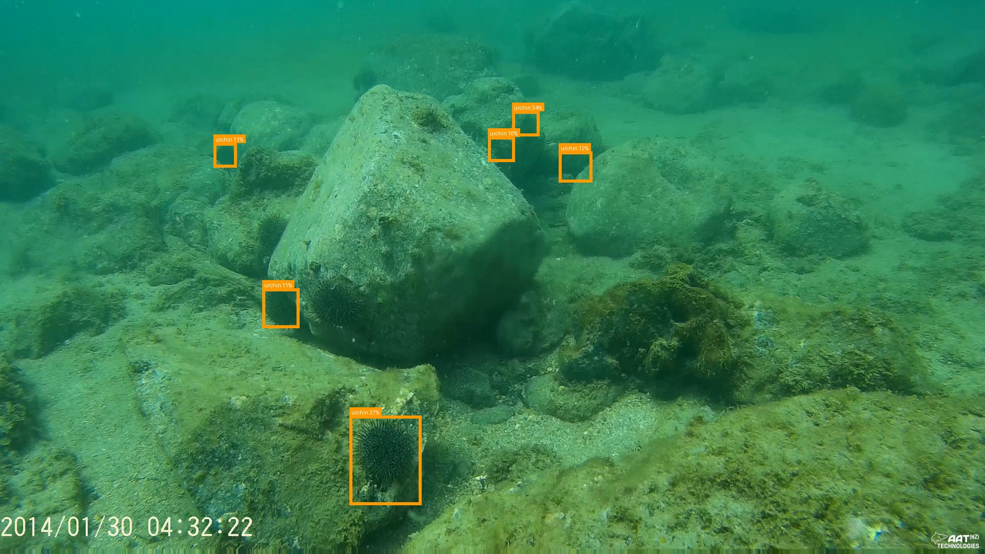 Sighting image with AI detection bounding boxes drawn