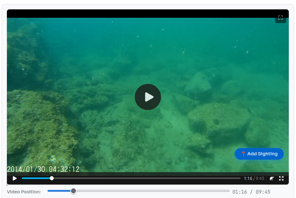 Underwater dropcam footage showing seabed